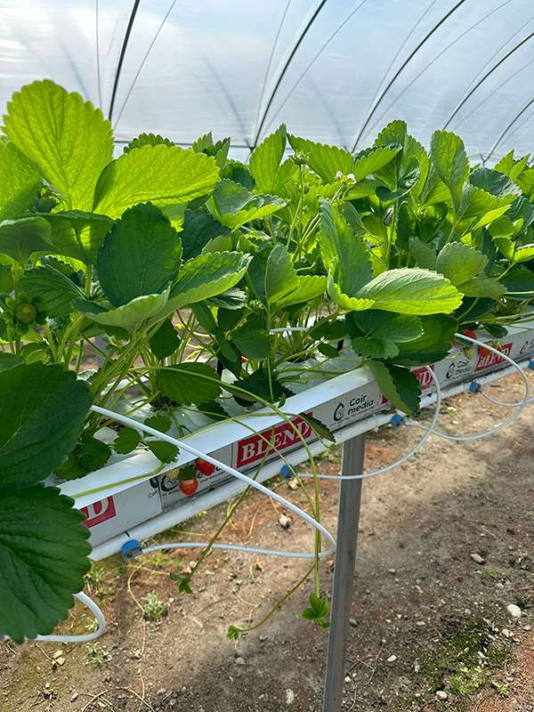 WhatsApp-Image-2024-07-19-at-13.42.47_6a4fa6c8