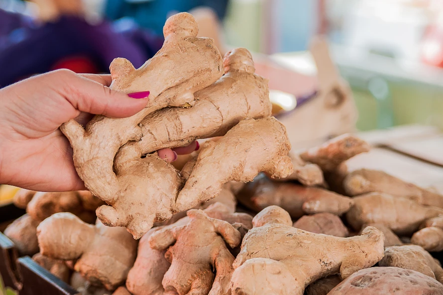 how to grow ginger